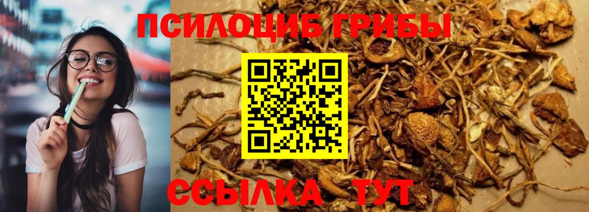 Псилоцибиновые грибы ЛСД  Вход с VPN  Кудрово 